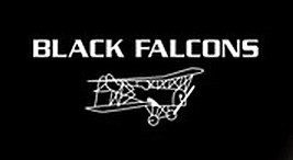 Black Falcons